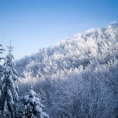 Poniwiec Mala Czantoria Ustroń Exteriör bild