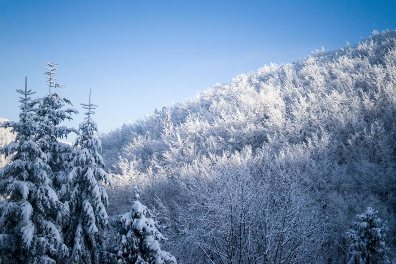 Poniwiec Mala Czantoria Ustroń Exteriör bild
